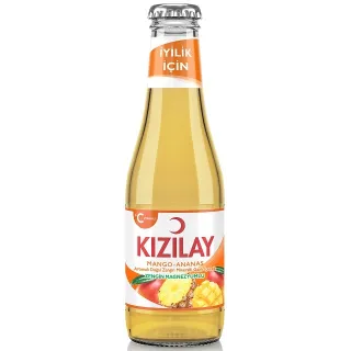 Kizilay Mango Ananas Aromali 200Mlx24