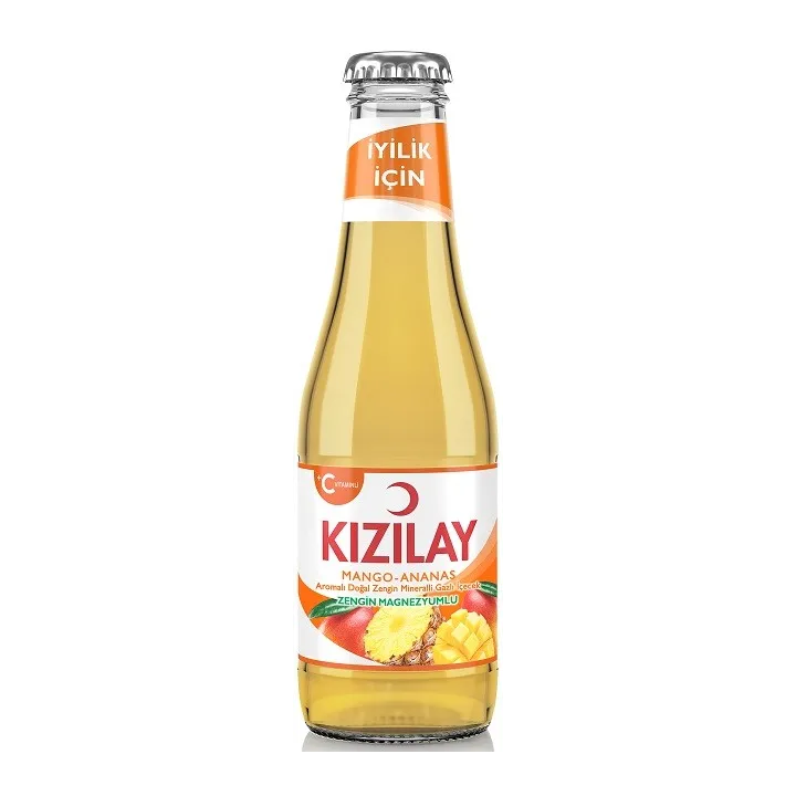 Kizilay Mango Ananas Aromali 200Mlx24